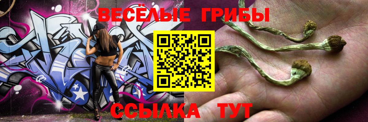 Псилоцибиновые грибы Cubensis Кириши