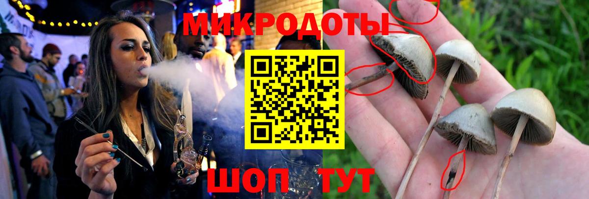 Кириши  цена   Вход с VPN  Галлюциногенные грибы Magic Shrooms 
